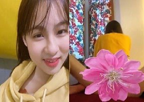 ความหลงใหลซึ่งกันและกันของแอดดิสันแร